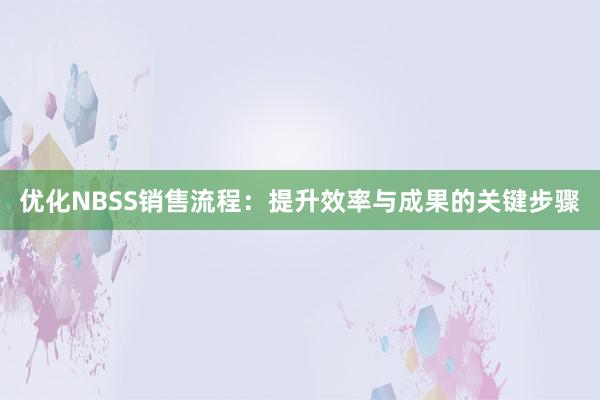 优化NBSS销售流程：提升效率与成果的关键步骤